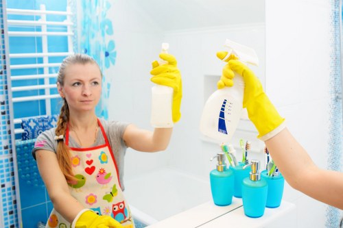 Professional cleaning services in Ferny Grove