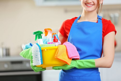 Professional Cleaners at Work in Annerley