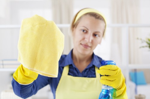 Cleaners at work in a Ferntree Gully home