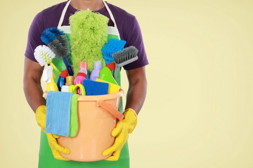 Professional cleaners at work in Bangor residential area