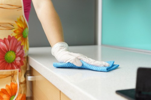 Professional cleaner working in Riverton home