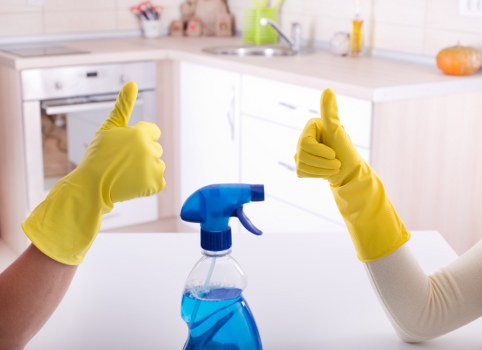 A variety of cleaning services offered in Auburn