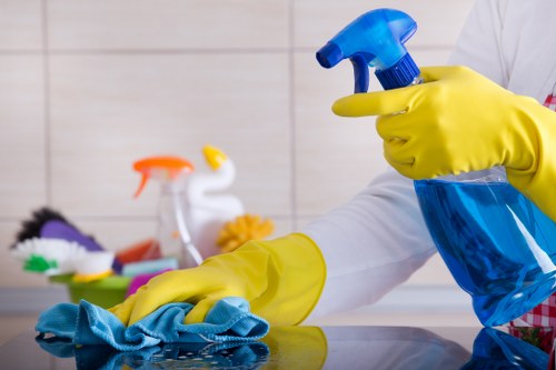 Professional cleaners at work in a Mitchelton home