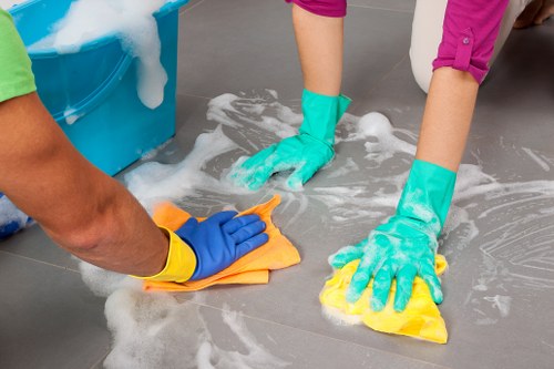 Professional cleaner dusting a living room in Fig Tree Pocket