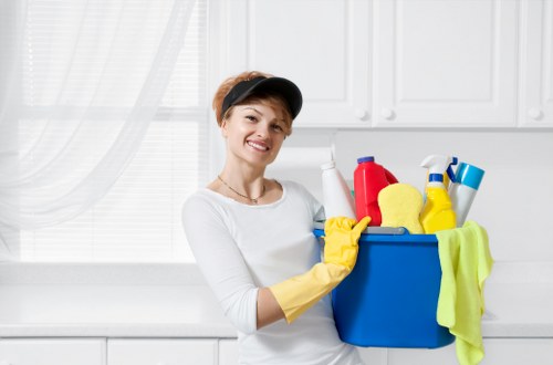 Residential cleaning services in Pascoe Vale