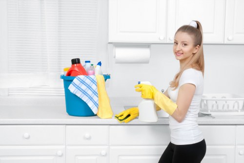 Various cleaning services offered in North Ryde