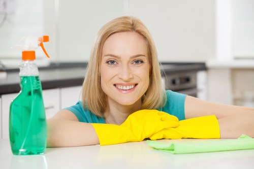 Clean and efficient oven maintenance