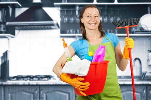 Professional commercial cleaners in an office setting