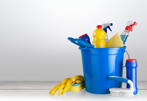 Professional cleaners providing services in Norman Park home