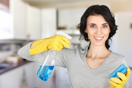 Comprehensive domestic cleaning services by Sophie Clean