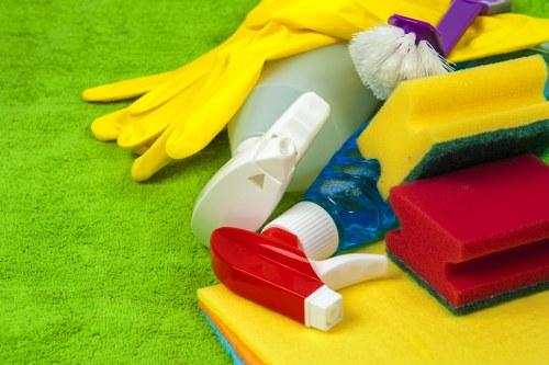 Customer selecting a cleaning service in Rosebud