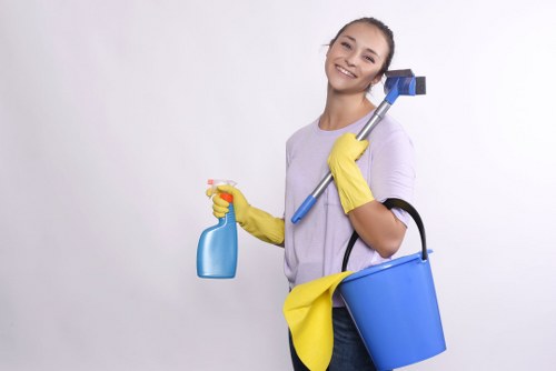 Window cleaning professionals at work in Donvale