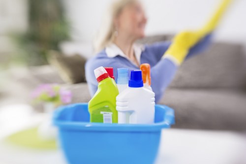 Professional cleaners at work in Elsternwick