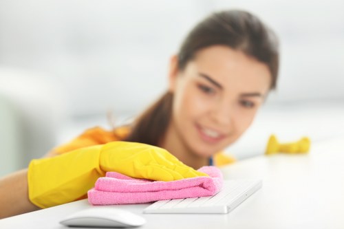 Professional cleaners working in a Parramatta home