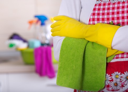 Satisfied customers with spotless ovens