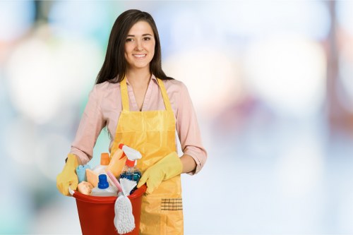 Eco-friendly cleaning products used by Sophie Clean