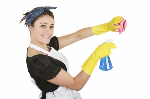 Comprehensive cleaning services offered by Norman Park cleaners