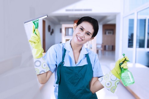 Sophie Clean's eco-friendly cleaning practices