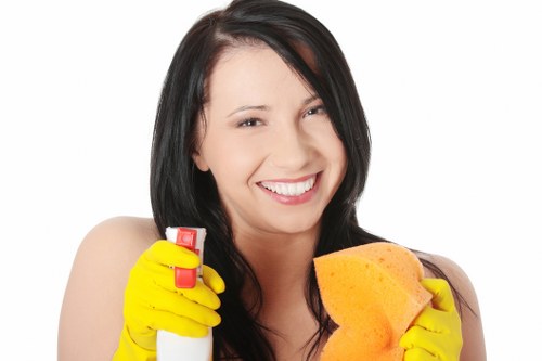 Commercial cleaning services offered in Birchgrove