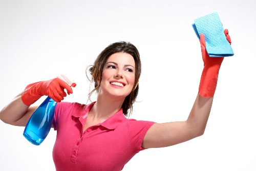 Sophie Clean's detailed oven cleaning process