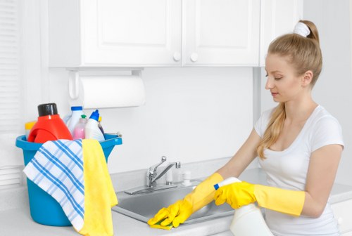 Eco-friendly cleaning products used by Sophie Clean