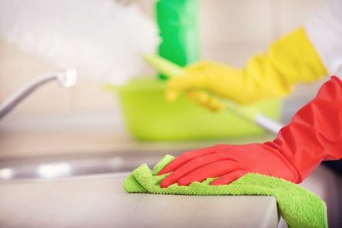 Eco-friendly cleaning practices by Bayswater North cleaners